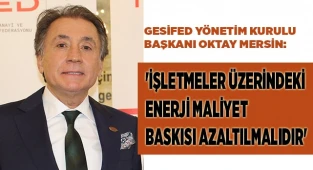 'İşletmeler üzerindeki enerji maliyet baskısı azaltılmalıdır'