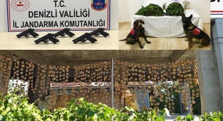 Jandarma, Ekim’de olayların yüzde 98’ini aydınlattı