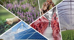 Kırsal kalkınma yatırımlarının desteklenmesi programında 15. etap başvuruları başladı