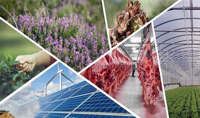 Kırsal kalkınma yatırımlarının desteklenmesi programında 15. etap başvuruları başladı