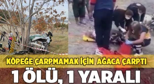Köpeğe çarpmamak için kaza yapan otomobildeki kadın hayatını kaybetti