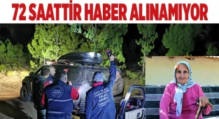 Mantar toplamaya gittiği dağda kaybolan kadından 72 saattir haber alınamıyor