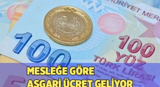 Mesleğe göre asgari ücret geliyor