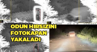 Odun hırsızlığı foto kapana yakalandı
