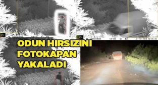 Odun hırsızlığı foto kapana yakalandı