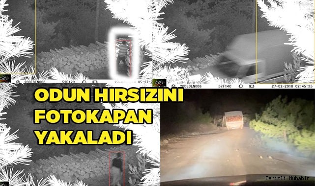 Odun hırsızlığı foto kapana yakalandı