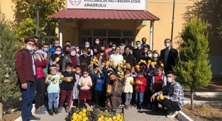 Tavas MYO Bitkisel ve Hayvansal Üretim Bölümü İlk Hasadını Yaptı