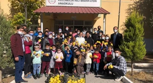 Tavas MYO Bitkisel ve Hayvansal Üretim Bölümü İlk Hasadını Yaptı
