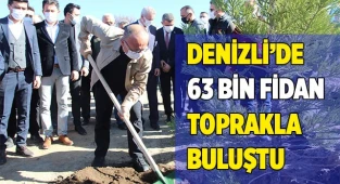 Yanan orman sahaları daha dayanıklı yeşerecek