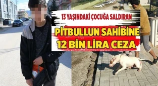 13 yaşındaki çocuğa saldıran pitbullun sahibine 12 bin lira ceza