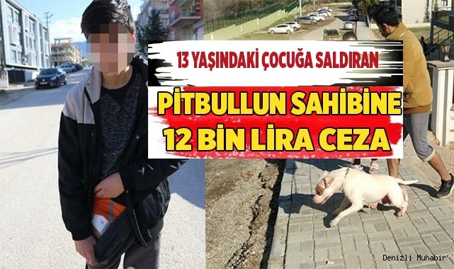 13 yaşındaki çocuğa saldıran pitbullun sahibine 12 bin lira ceza