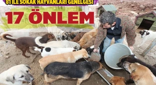 Çevre ve Şehircilik Bakanlığı’ndan 81 ile sahipsiz hayvanlarla ilgili genelge