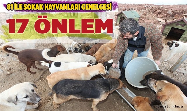 Çevre ve Şehircilik Bakanlığı’ndan 81 ile sahipsiz hayvanlarla ilgili genelge