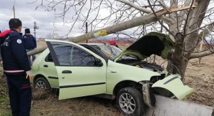 Denizli’de otomobil ağaca çarptı: 1 yaralı