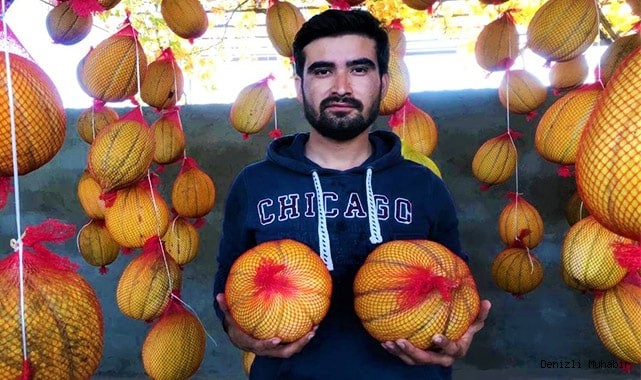 Fileye giren kavunların raf ömrü uzuyor