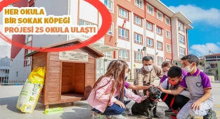 Her okula bir sokak köpeği projesi 25 okula ulaştı