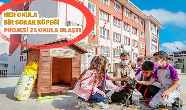 Her okula bir sokak köpeği projesi 25 okula ulaştı