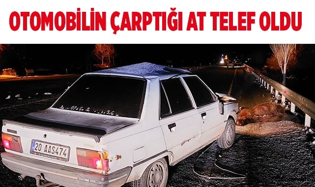 Otomobilin çarptığı at telef oldu