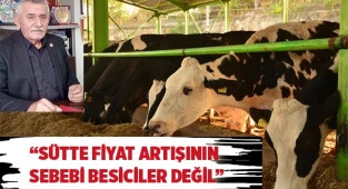 Sütte fiyat artışının sebebi besiciler değil