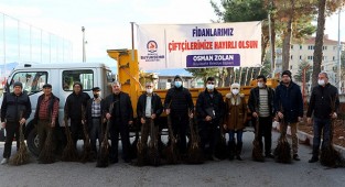 5 yılda 380 bin ceviz fidanı toprakla buluştu