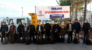 5 yılda 380 bin ceviz fidanı toprakla buluştu