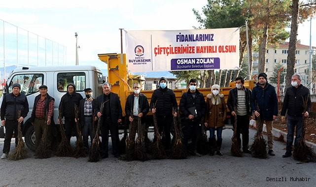 5 yılda 380 bin ceviz fidanı toprakla buluştu