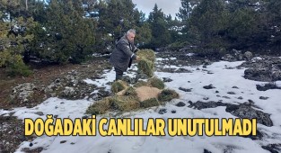 Ağır kış şartlarında doğadaki canlılar unutulmadı