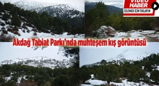 Akdağ Tabiat Parkı’nda muhteşem kış görüntüsü