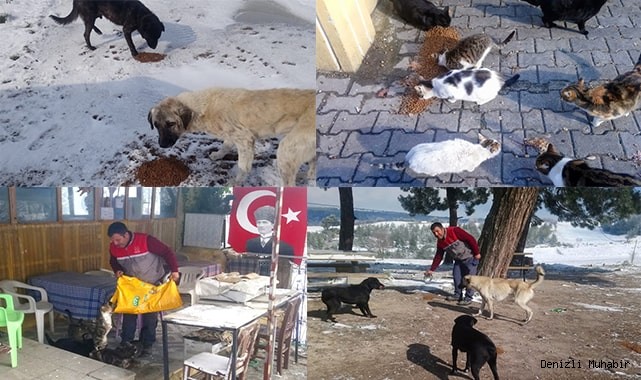 Buldan Belediyesi ekipleri sokak hayvanlarını besledi
