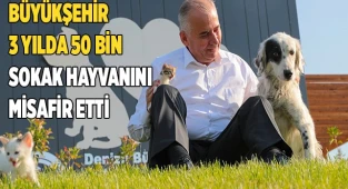 Can dostlar 5 yıldızlı otel konforunda hizmet alıyor