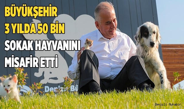 Can dostlar 5 yıldızlı otel konforunda hizmet alıyor