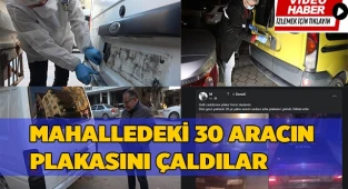 Denizli'de esrarengiz plaka hırsızları pes dedirtti