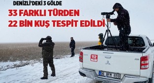 Denizli’deki 3 gölde 33 farklı türden 22 bin kuş tespit edildi