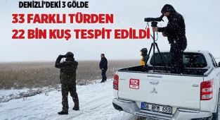 Denizli’deki 3 gölde 33 farklı türden 22 bin kuş tespit edildi
