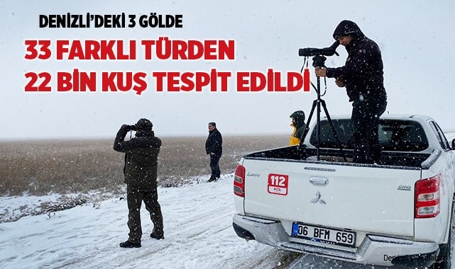 Denizli’deki 3 gölde 33 farklı türden 22 bin kuş tespit edildi