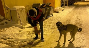 Kale’nin Alperenleri sokak hayvanlarını unutmadı