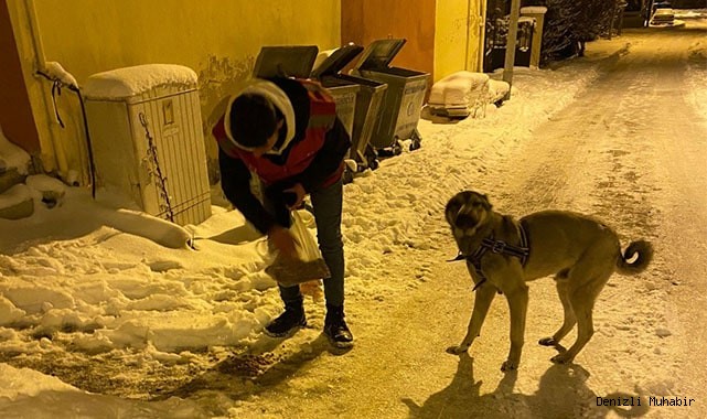 Kale’nin Alperenleri sokak hayvanlarını unutmadı