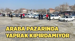 Otomobil pazarında yaprak kıpırdamıyor