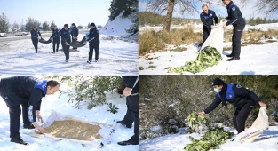 PAMUKKALE BELEDİYESİ YABAN HAYVANLARINI DA UNUTMADI