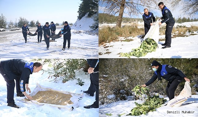 PAMUKKALE BELEDİYESİ YABAN HAYVANLARINI DA UNUTMADI