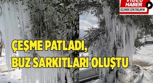 Patlayan çeşme ağaçta buz sarkıtları oluşturdu