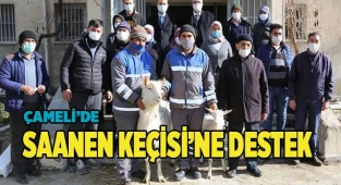 Saanen keçisi projesi başarıyla devam ediyor