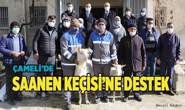 Saanen keçisi projesi başarıyla devam ediyor