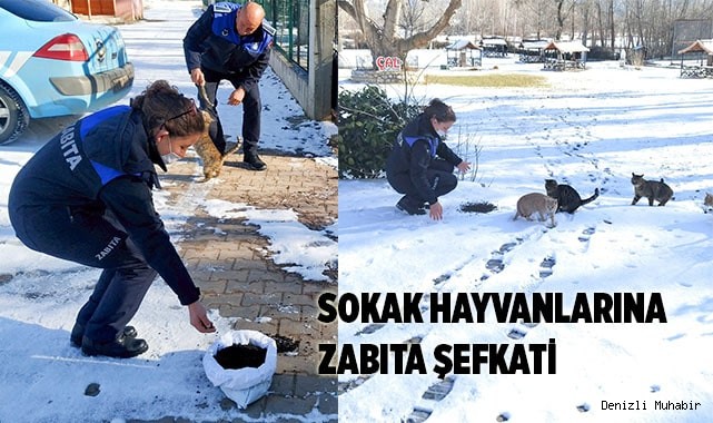 SOKAK HAYVANLARINA ZABITA ŞEFKATİ