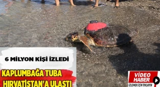 Tuba, yaklaşık 16 bin kilometre yol gitti