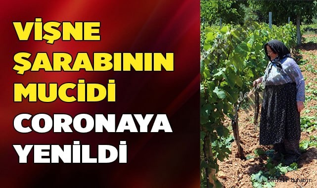 Vişne şarabının mucidi koronaya yenildi