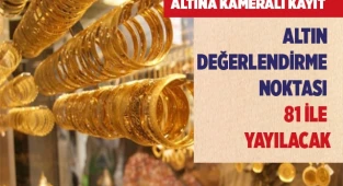  Altın değerlendirme noktası 81 ile yayılacak