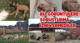 Bu  görüntülere soruşturma izni yok