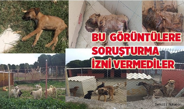 Bu  görüntülere soruşturma izni yok