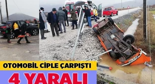 Ciple çarpışan otomobil tarlaya devrildi; 4 yaralı